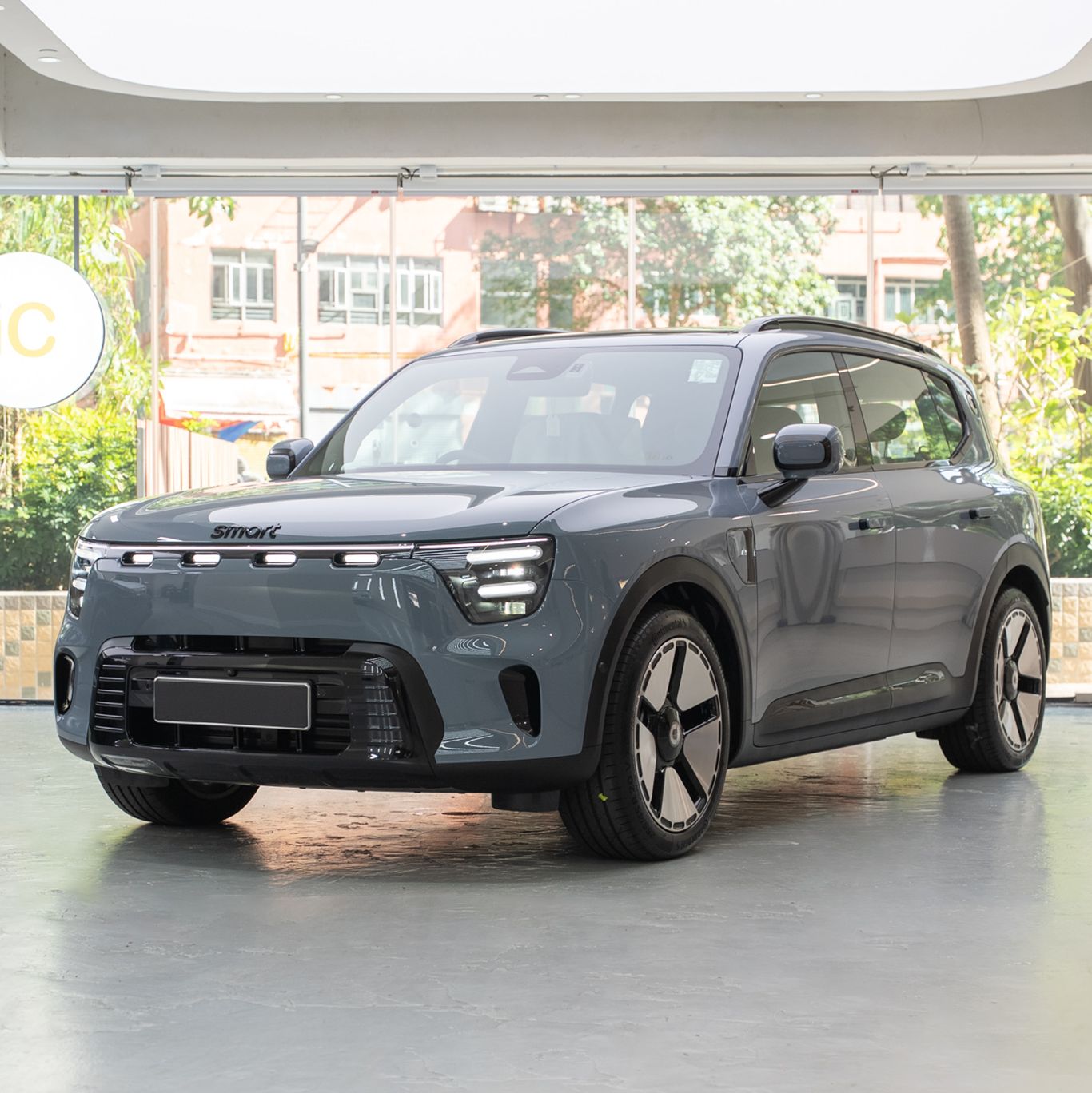 Arctic Grey smart #5 Pro / Premium