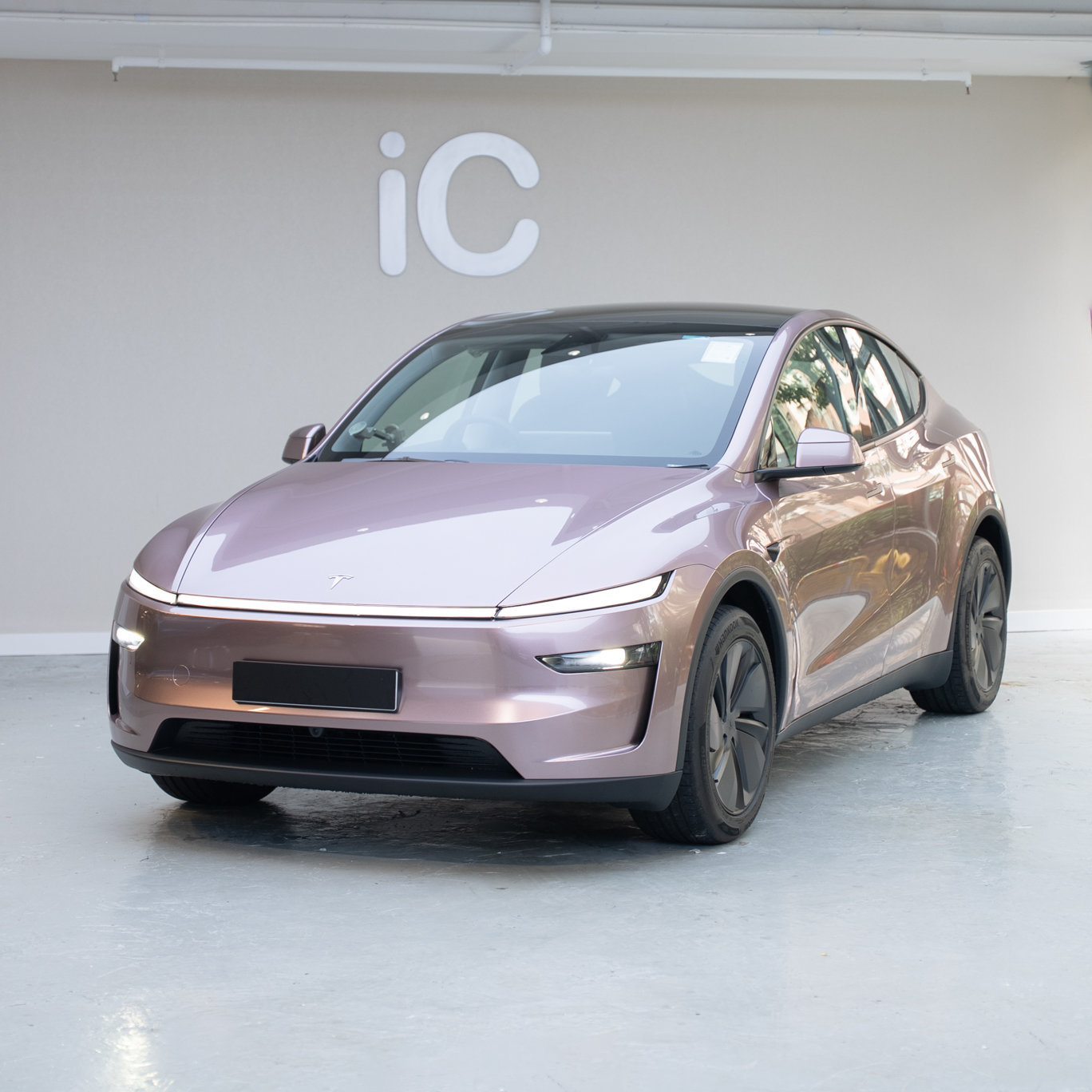 Frozen Berry Metallic Tesla Model Y Juniper